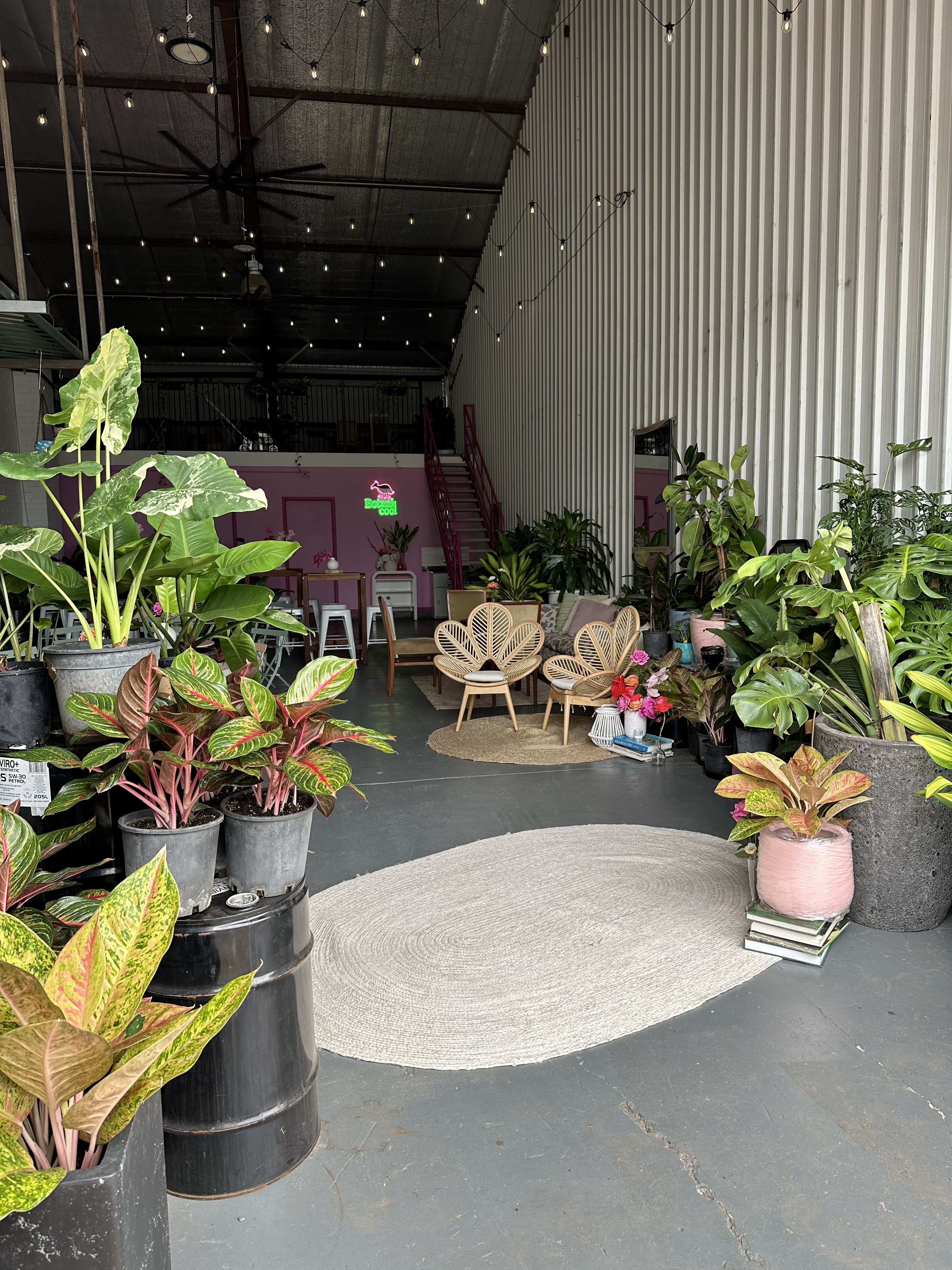 Botanicool: Event venue hire, plant shop and Cafeteria in Darwin
